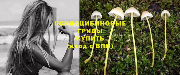 стаф Абдулино