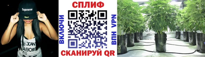 Бошки Шишки Ganja Аксай